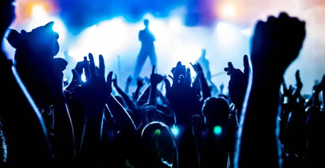 Silhouetted crowd enjoying a vibrant live concert with bright stage lights.